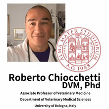 Professor Roberto Chiocchetti dell'Università di Bologna