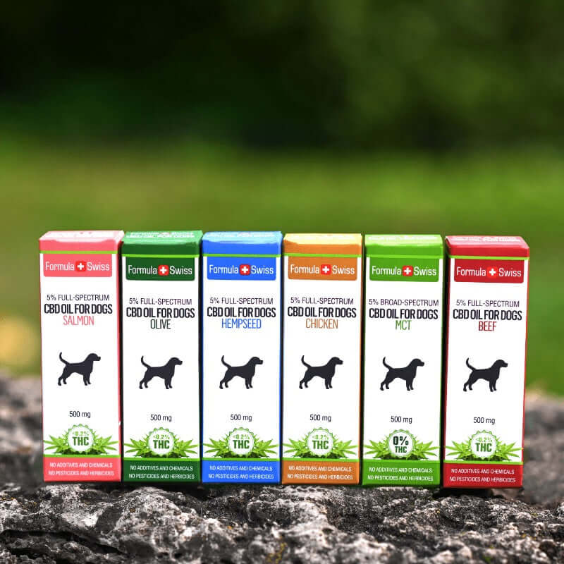 Acquista olio di CBD per animali domestici