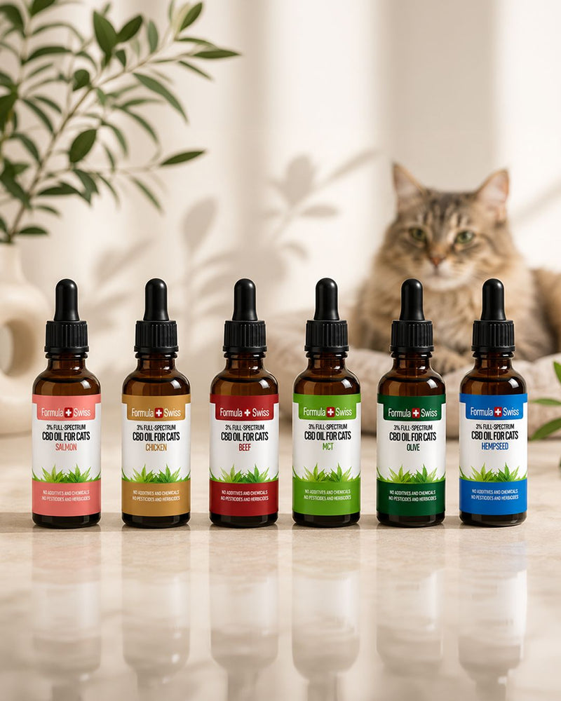 Olio di CBD per i gatti