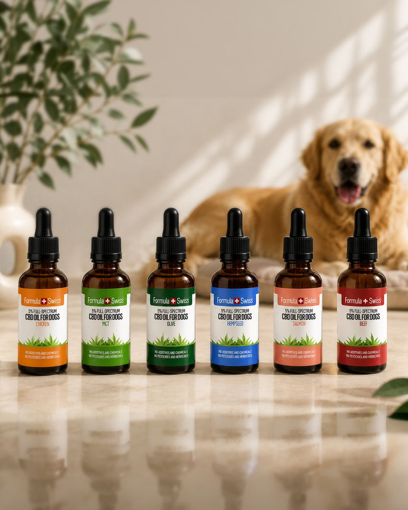 Olio di CBD per cani
