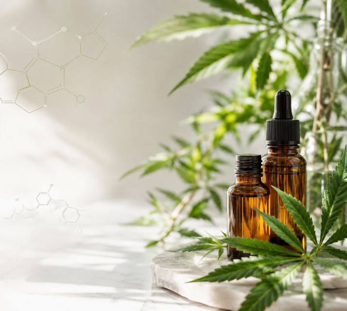 Educazione dei cannabinoidi e composti vegetali di canapa