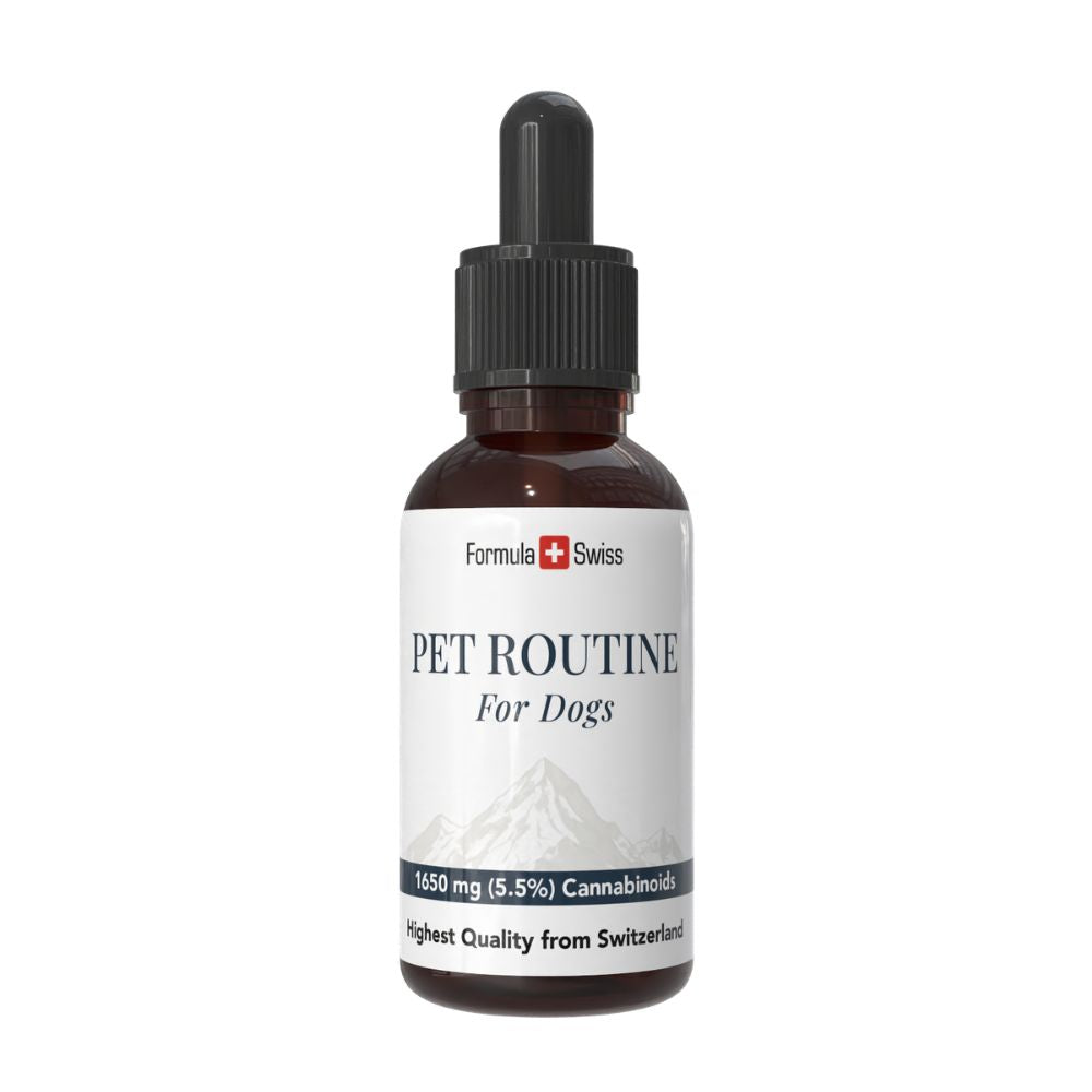 Bottiglia di 'Pet Routine for Dogs' con un'etichetta bianca su sfondo bianco