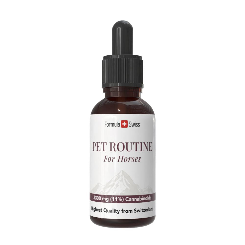 Bottiglia di 'Pet Routine for Horses' su sfondo bianco